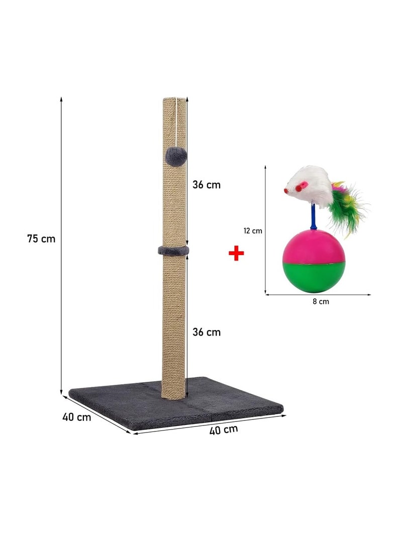 NNC PETS Cat tree with Scratching post, Hanging ball, and Stable base, 75 cm Cat climbing frame, Indoor cat activity center with Scratch-resistant, Easy to assemble and Ideal for kittens and cats, (Grey) - Image 2