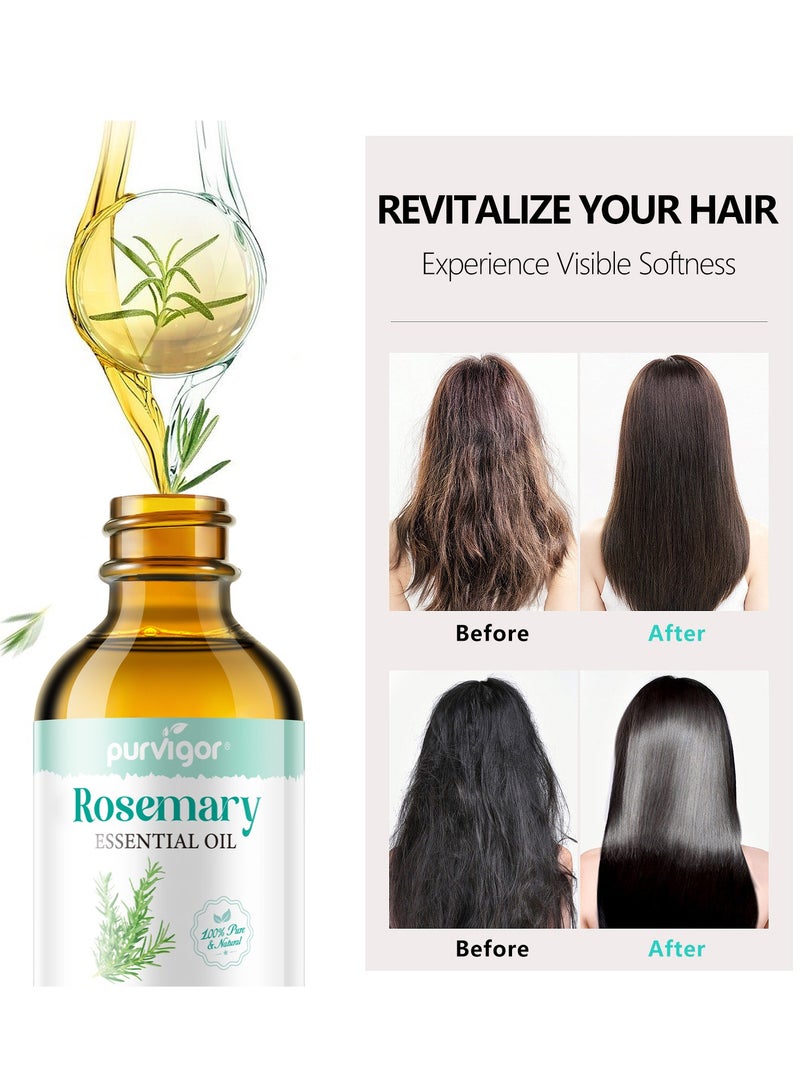 Purvigor 60ml Rosemary Essential Oil for Hair Growth Pure Organic Rosemary Oil for Dry Damaged Hair and Growth Hair Scalp Oil Pure and Natural Premium Quality Oil Hair Loss Treatment Oil for Men and Women - Image 3