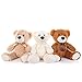 MorisMos 3 Packs Teddy Bears Bulk Stuffed Animals Cute Small Teddy Bear Plush Toys Little Stuffed Bear for Kids on Centerpiece Baby Shower 14 Inches - Image 4