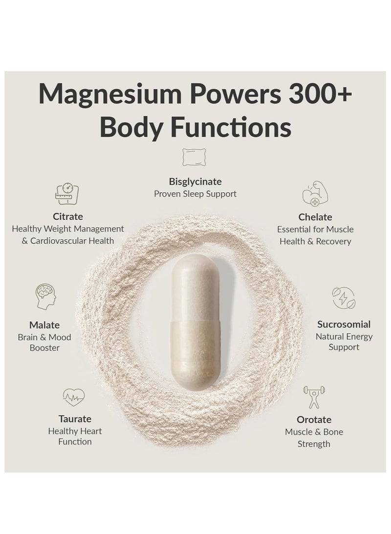 بيو أوبتيمايزيرز مكمل BIOptimizers Magnesium Breakthrough 4.0 - 7 أشكال من المغنيسيوم: الجليسينات، المالات، السيترات، وغيرها - دعم طبيعي للنوم والوظائف الإدراكية - 60 كبسولة - مركب فيتامينات مهدئ - Image 3