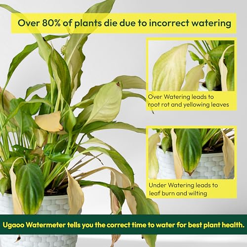 UGAOO Sustee Plant Watermeter with Soil Moisture Sensor (Green, Small) - Image 2