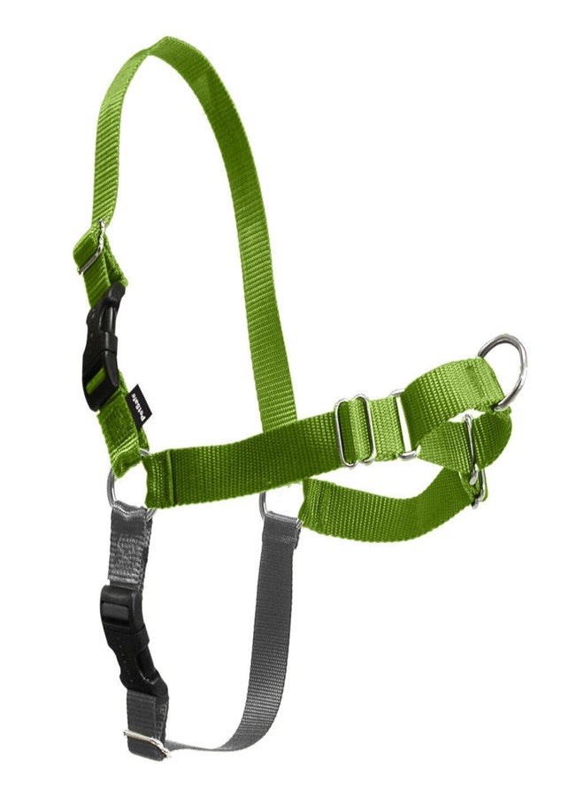 بيت سيف سرج PetSafe Easy Walk للكلاب - السرج الأمثل لمنع الشد - نزهات بدون شد - تحكم في كلبك وعلمه آداب المشي بالزمام - تصميم حلقة مارتينجال الحاصل على براءة اختراع - أخضر تفاحي، متوسط/كبير - Image 1