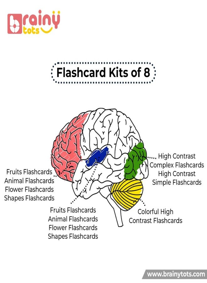 Brainytots Flashcard Set of 8 with 3 Stands | for 0-2 Years | Includes High Contrast - Simple and Complex, Colorful High Contrast, Animals, Fruits, Flowers & Emotions|Visual, Language Multicolor - Image 5