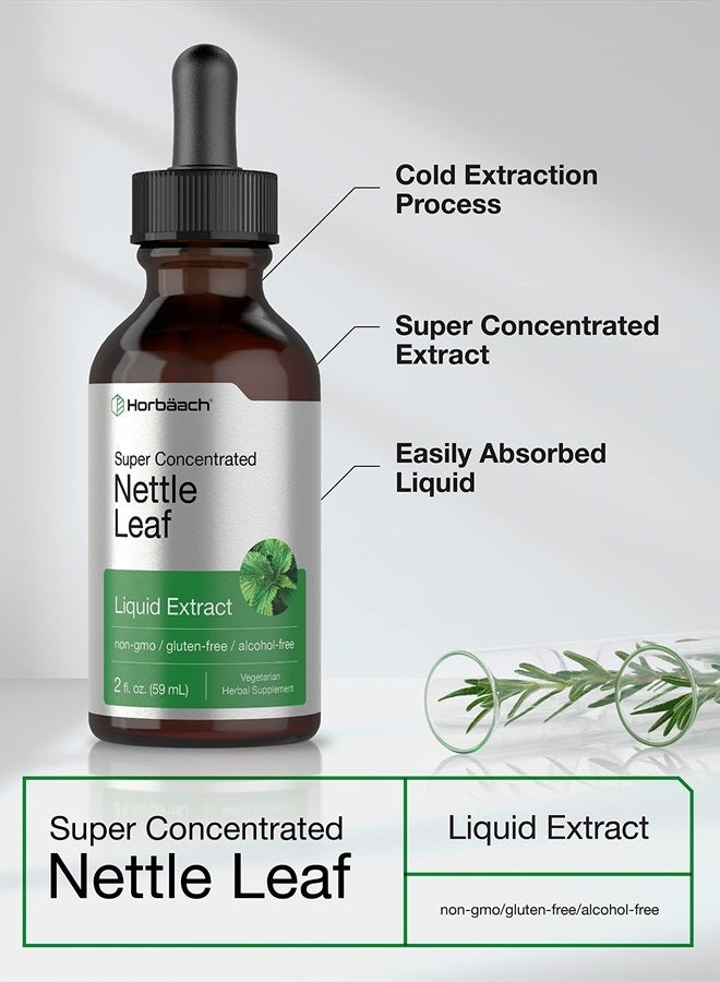 Horbäach Stinging Nettle Leaf Extract | 2 fl oz | Alcohol Free Liquid | Vegetarian, Non-GMO, Gluten Free Tincture | by Horbaach - Image 3