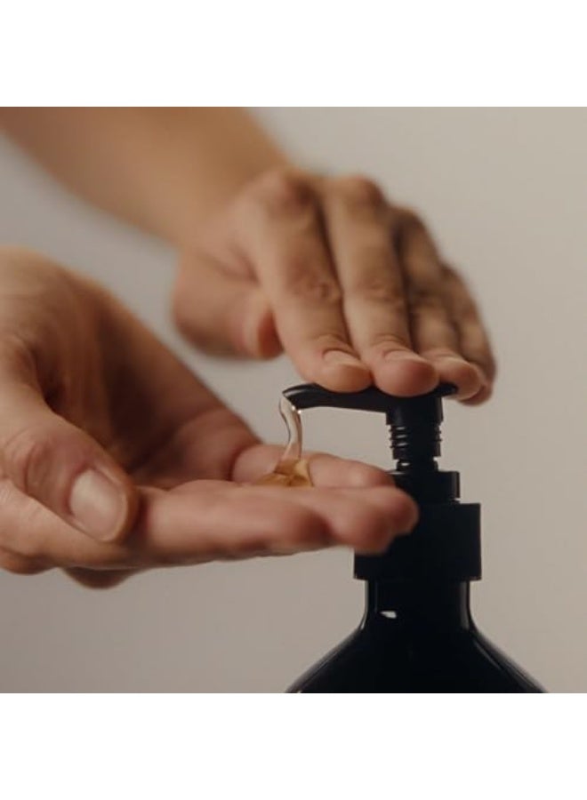 Aesop Reverence Aromatique Hand Wash | Woody, Earthy, Smoky | Gentle Exfoliating Cleanser For Renewed Skin | 500mL / 16.9 oz - Image 3