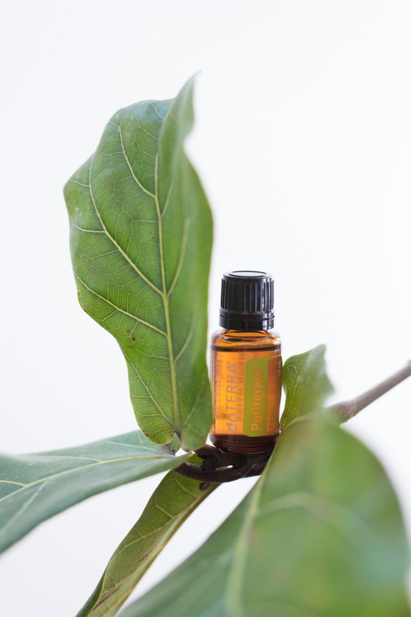 doTERRA - Petitgrain Essential Oil - 15 mL - Image 4