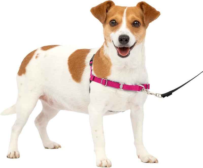 PetSafe Easy Walk No-Pull Dog Harness - Small, Raspberry/Gray - Image 1