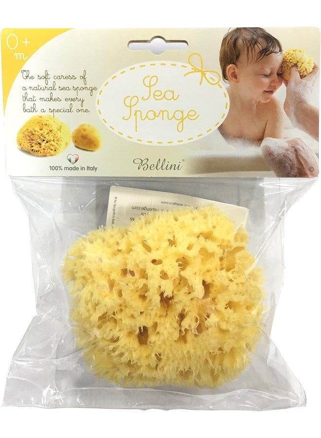 Bellini إسفنجة بحرية طبيعية من العسل - 12 سم - مصنوعة من إسفنجة بحرية طبيعية - إسفنجة استحمام مضادة للحساسية للأطفال - قابلة للتحلل، صديقة للبيئة ولطيفة على حديثي الولادة والبشرة الحساسة