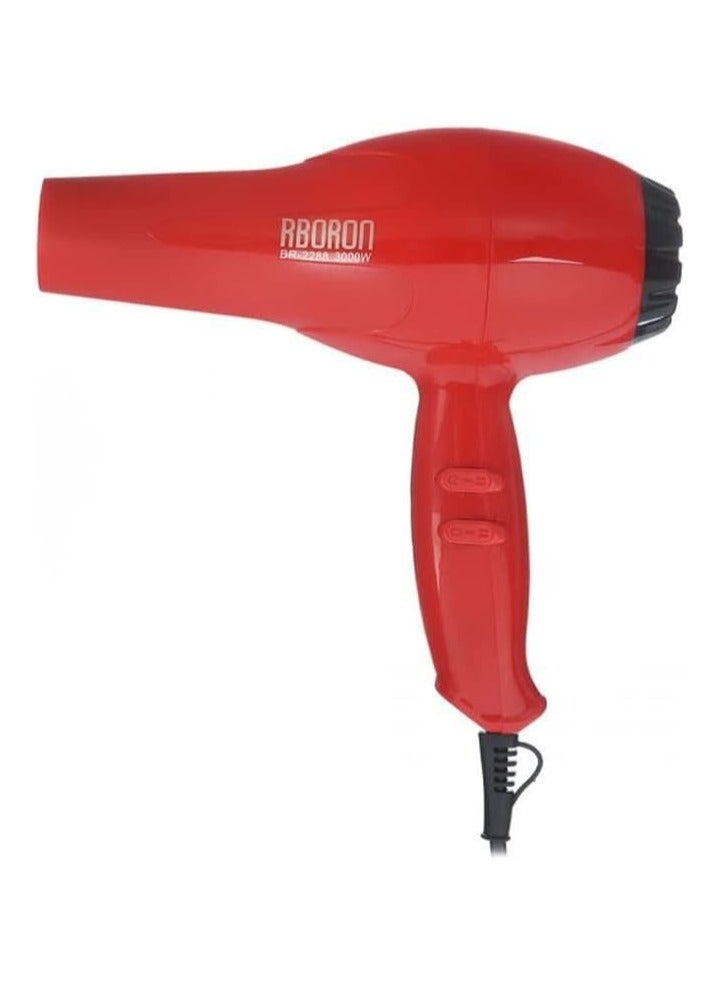 Professional 3000W Hair Dryer BR-2288