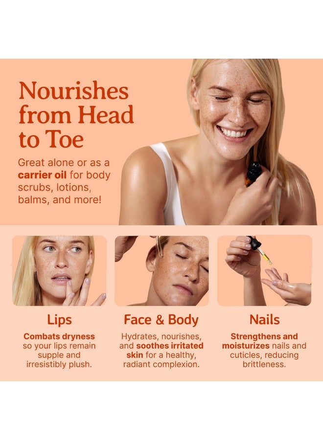 بيلا تيرا أويلز - زيت بذور الجزر العضوي 2 أونصة - غني بالكاروتين والعناصر الغذائية الأساسية، عزز نظام العناية بالبشرة الخاص بك بهذا الزيت الفاخر - Image 5