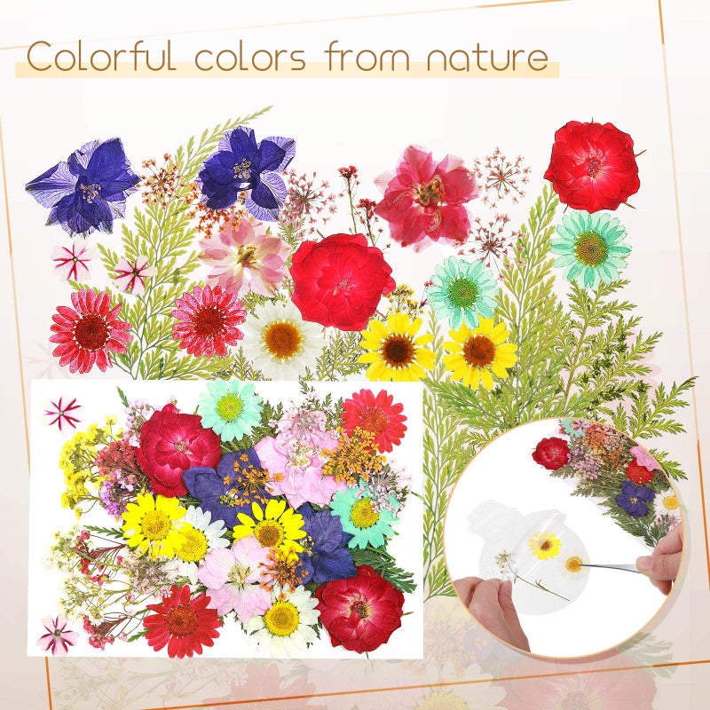 TaoBary 91 Pcs DIY Handmade Transparent Dried Flower Bookmark Set Include Butterflies Clear Bookmarks Dried Flowers Colorful Tassels and Tweezer for Book Bottle Supplies(Classic Color) - Image 4