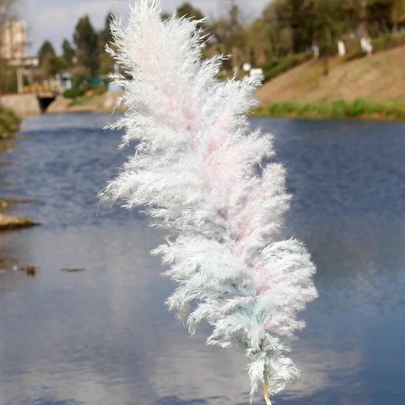 Bluejw E328 Large Fluffy Pampas Grass Decor - Natural Dried Pampas Floral Arrangements, Tall Dried Plants for Boho Home & Wedding Decor - Image 1