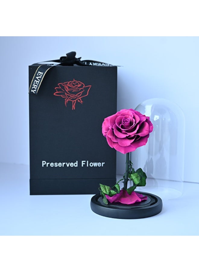 Purple Forever Rose Glass Dome Premium Quality Gift Box