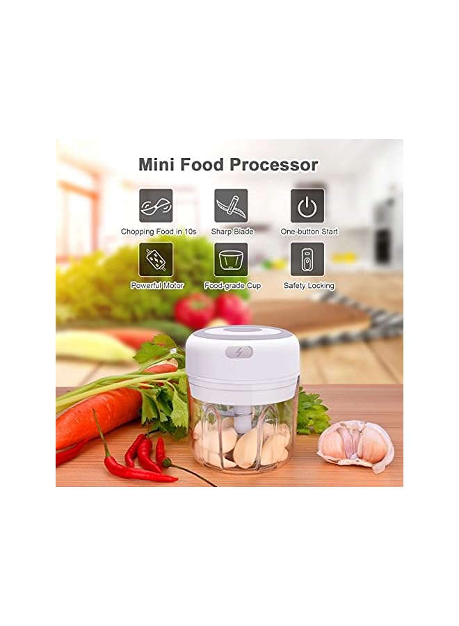 PROMASS مفرمة ثوم كهربائية صغيرة، معالج طعام صغير محمول لاسلكي بمنفذ USB، مطحنة لاسلكية متعددة الوظائف بسعة 250 مل للخضروات والتقطيع والفرم والهريس، معالج طعام يدوي - Image 4