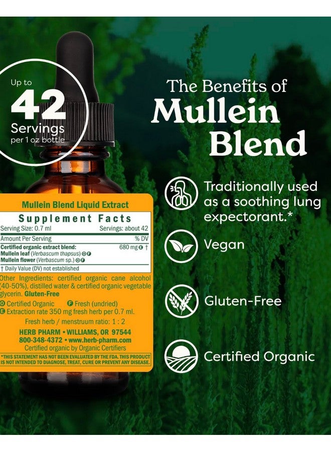 Herb Pharm Certified Organic Mullein Blend Liquid Extract for Respiratory System Support - 1 Ounce - Image 2