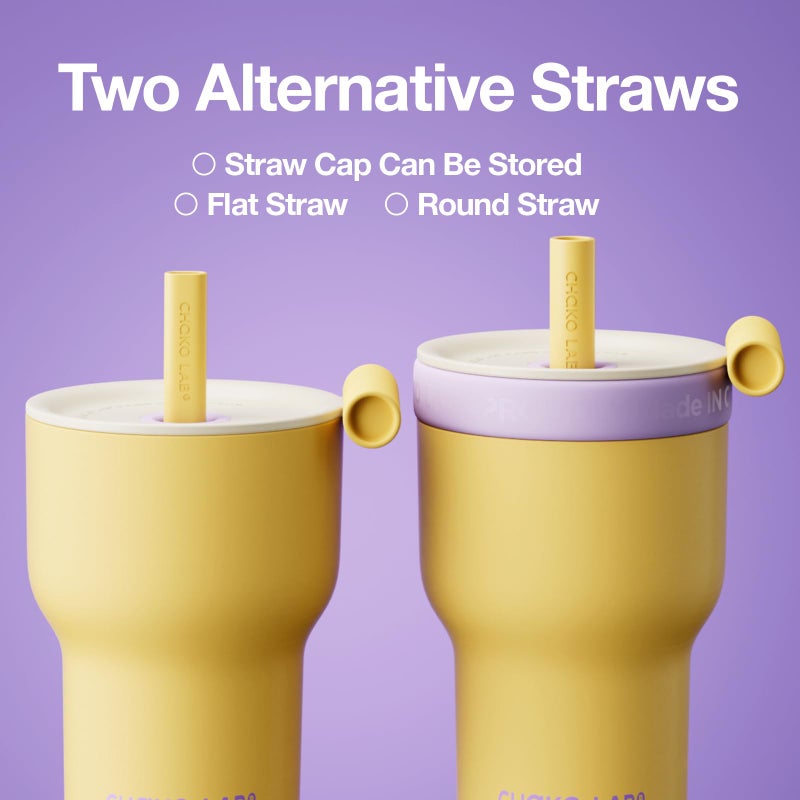 CHAKO LAB Insulated Stainless Steel Water Bottle | Dual-layer tumbler with Glass Linner and Stainsteel Linner | BPA-Free Leak Proof Thermos | 20oz Bottle with Two Straw | Yellow & Purple - Image 3