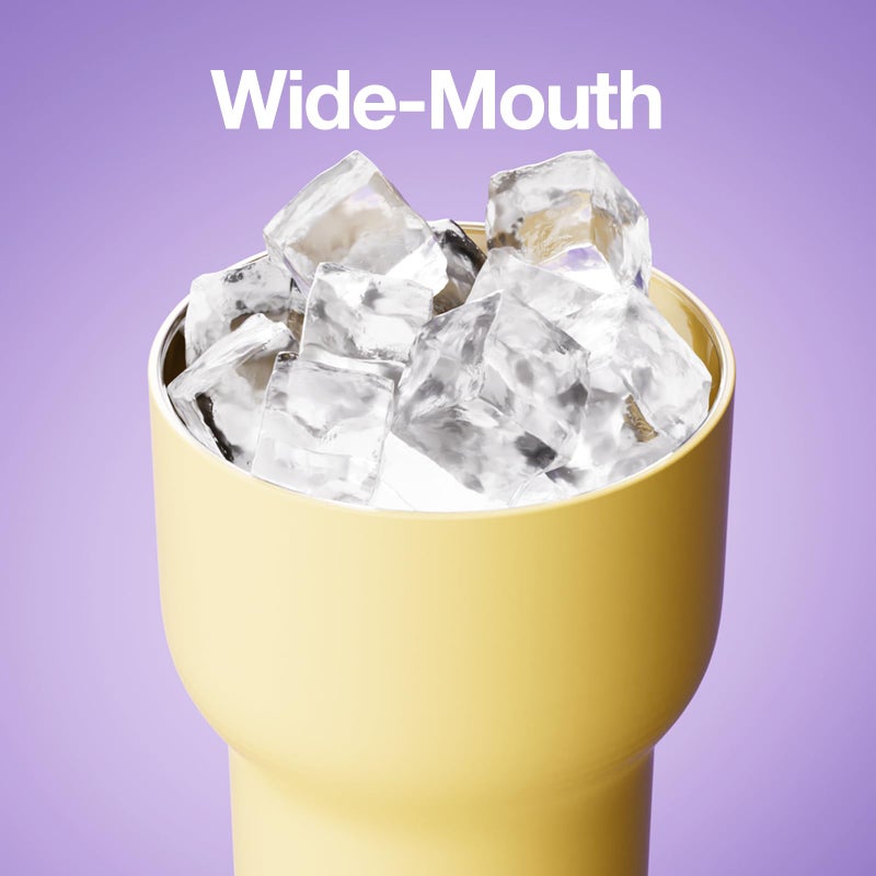 CHAKO LAB Insulated Stainless Steel Water Bottle | Dual-layer tumbler with Glass Linner and Stainsteel Linner | BPA-Free Leak Proof Thermos | 20oz Bottle with Two Straw | Yellow & Purple - Image 5