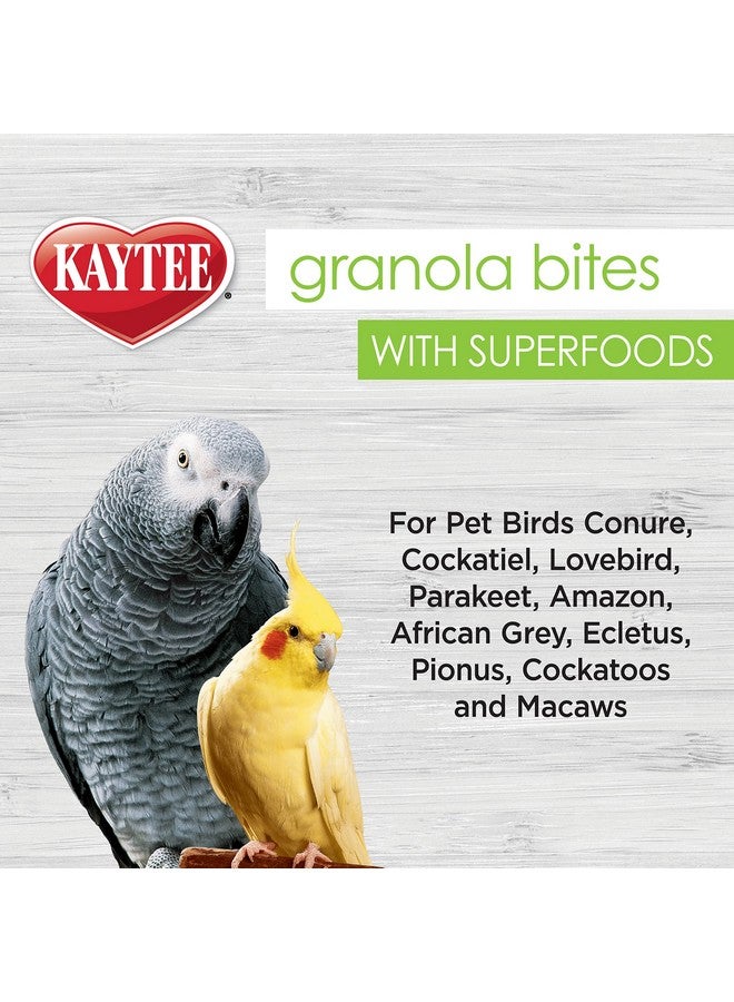 Kaytee Granola Bites with Super Foods Spinach and Kale for Pet Birds, Conure, Cockatiel, Lovebird, Parakeet, Amazon, African Grey, Ecletus, Pionus, Cockatoos and Macaws, 4.50 Ounce (Pack of 1) - Image 5