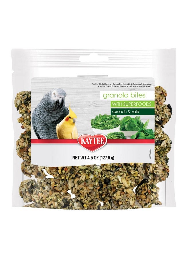 Kaytee Granola Bites with Super Foods Spinach and Kale for Pet Birds, Conure, Cockatiel, Lovebird, Parakeet, Amazon, African Grey, Ecletus, Pionus, Cockatoos and Macaws, 4.50 Ounce (Pack of 1) - Image 1