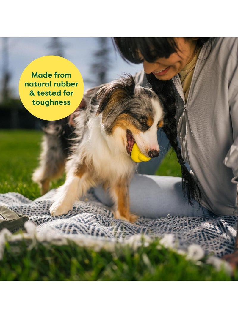 إيرث ريتد لعبة إحضار الكرة التفاعلية للكلاب من السلالات الصغيرة والمتوسطة والكبيرة تأتي بأحجام متعددة مصنوعة من المطاط الطبيعي مثالية للاستخدام الداخلي والخارجي صغيرة صفراء - Image 2