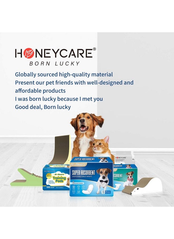 HONEY CARE HONEY CARE All-Absorb Disposable Female Dog Diapers M Size, Improved Bigger Size, 36 Count, Super Absorbent, Breathable, Wetness Indicator (Pack of 1, 36 Count Total)  - Image 4