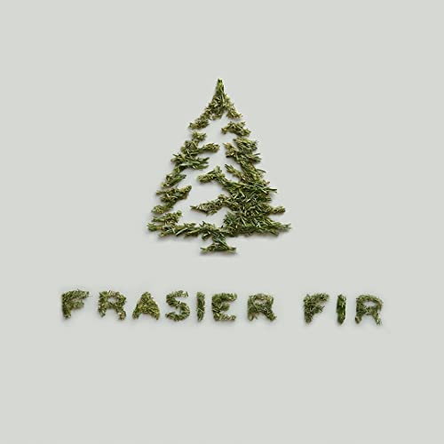 Thymes Frasier Fir Car Diffuser Kit + Refills – Vent Clip Air Freshener + 4 Frasier Fir Diffuser Reeds – Car Air Fresheners with Fresh Scent – Long-Lasting Fragrance - Image 5