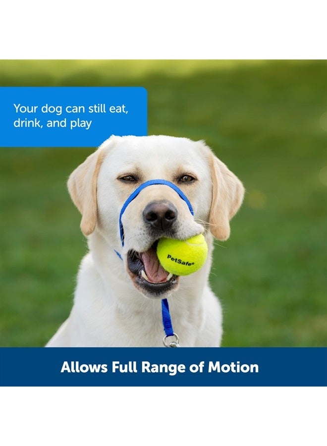 PetSafe Gentle Leader No-Pull Dog Headcollar - The Ultimate Solution to Pulling - Redirects Your Dog's Pulling For Easier Walks - Helps You Regain Control - X-Large, Black