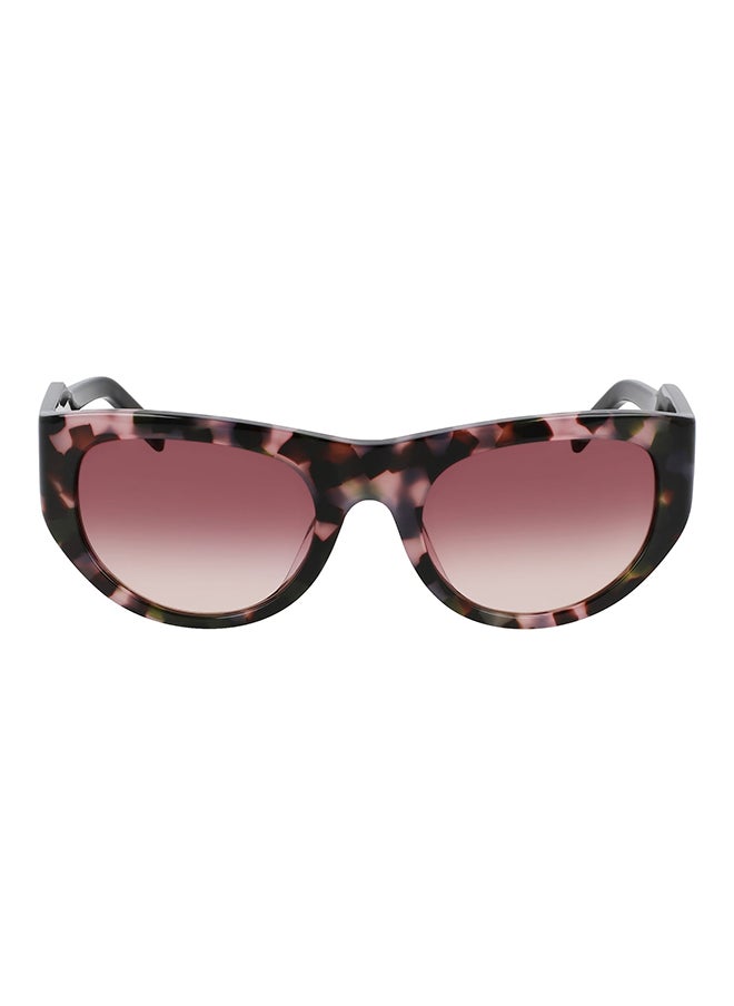 DKNY Full Rim Acetate Oval Sun Dk550S (V3) Br/Sand  - Image 1