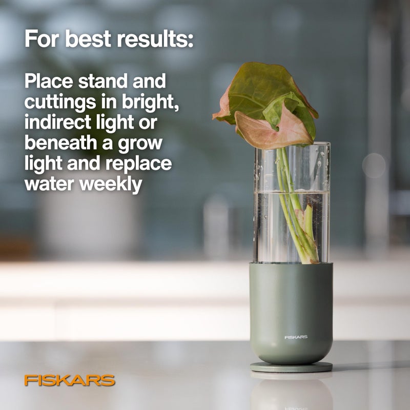 Fiskars Plant Propagator, 1 Piece â€“ Single Decorative Glass Propagation Vase with Metal Base for Rooting Plant Cuttings and Hydroponic Display - Image 5