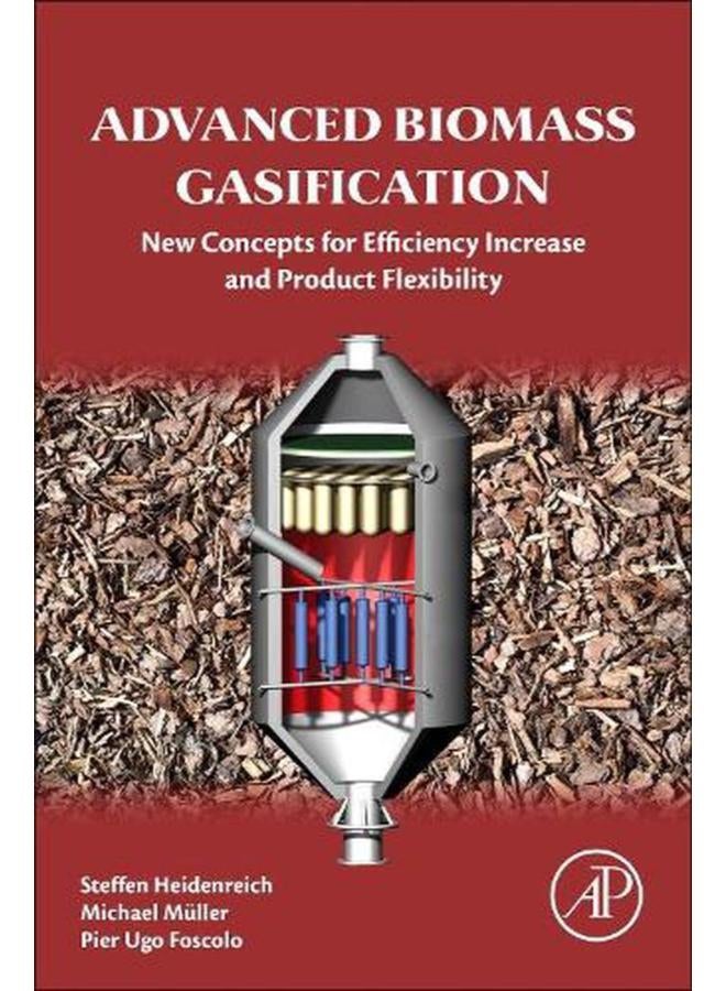 Advanced Biomass Gasification: New Concepts for Efficiency Increase and Product Flexibility