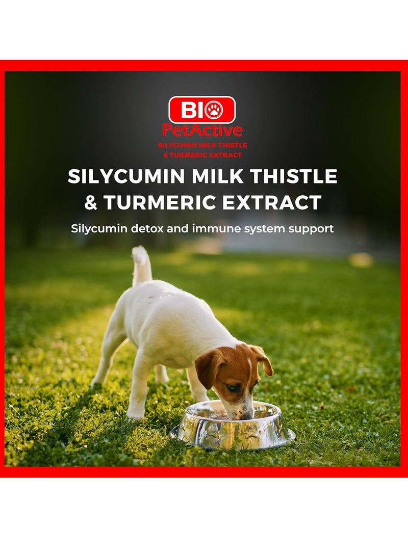 Bio PetActive Liver and Kidney Health Milk Thistle Supplement for Cats and Dogs Removes Toxins Support Liver Regeneration and Boost Immune System with Silycumin Turmeric 100 Tabs Small Breeds - Image 2