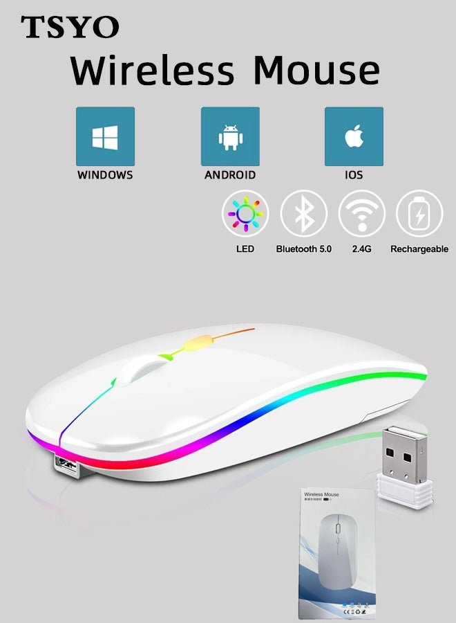 TSYO 600.0 mAh M40 Ultra-Thin Wireless Mouse , 2.4G Rechargeable Wireless Silent Mouse Ergonomic Design 3 Adjustable DPI Silver - Image 1