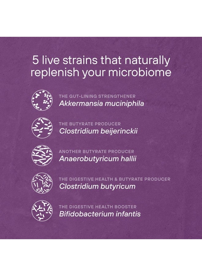 Pendulum Pendulum Metabolic Daily - Multi-Strain Probiotic with Akkermansia Muciniphila to Support Metabolism and Sustain Energy Levels - for Women and Men - 30 Capsules (1 Pack) - Image 3