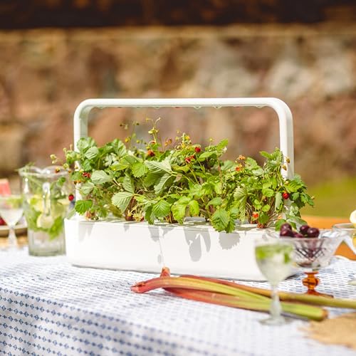 Click and Grow Smart Garden Wild Strawberry Plant Pods, 9-Pack - Image 2