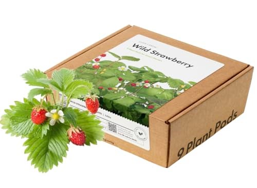 Click and Grow Smart Garden Wild Strawberry Plant Pods, 9-Pack - Image 1