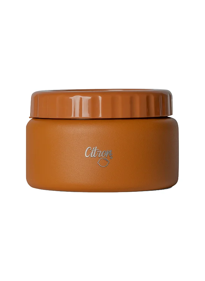 Citron Vacuum Insulated Food Jar For Kids And Adults, Bpa Free Food Thermos, Travel Hot Food Container - 250 Ml Caramel