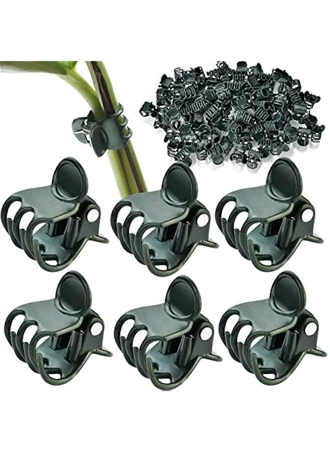 Generic Support your plants with 100 Orchid Clips for Stems, Vines, and Climbing Plants to Grow Upright  - Image 1