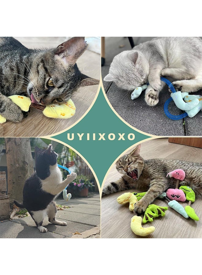 Interactive Cat Toys Set, Catnip and Silvervine Chew Sticks,Teeth Cleaning Toy, Spring Ropes Toy for Indoor Cats and Kittens (2 Pack) - Image 3