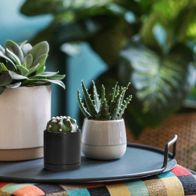 D'vine Dev 3.5 Inch Ceramic Planter Pot with Drainage Hole and Saucer, Indoor Cylinder Round Planter Pot, Black, 94-O-A-2 - Image 5