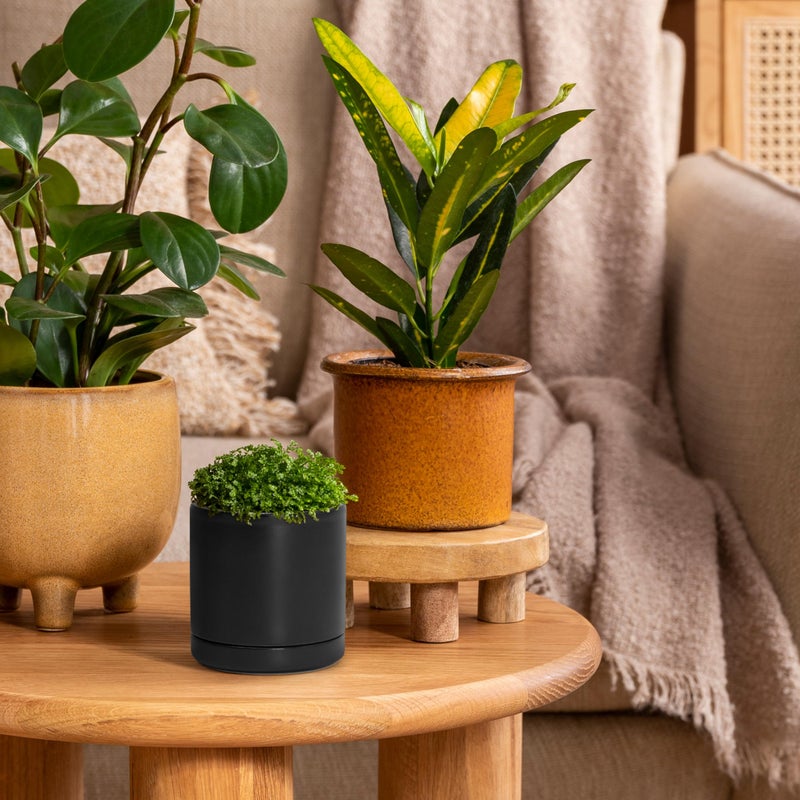 D'vine Dev 3.5 Inch Ceramic Planter Pot with Drainage Hole and Saucer, Indoor Cylinder Round Planter Pot, Black, 94-O-A-2 - Image 4