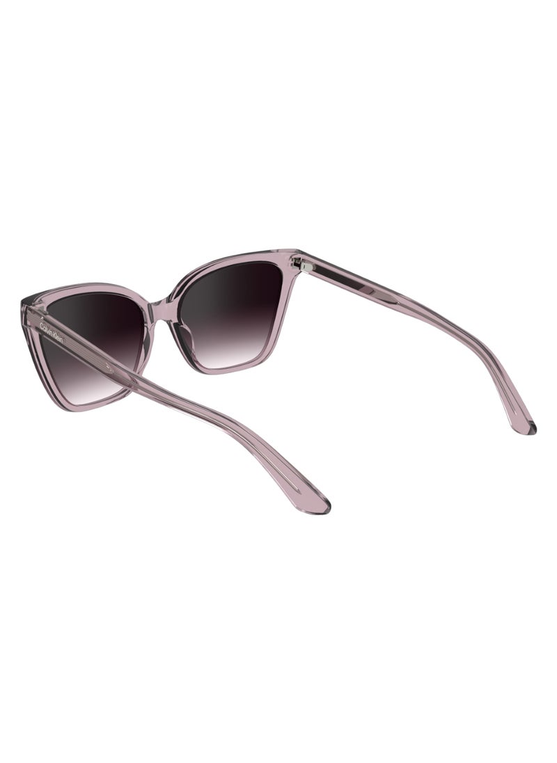 CALVIN KLEIN FULL RIM BIO INJ-G820 CAT EYE CALVIN KLEIN SUN CK24507S  5717 (601) ROSE  - Image 5