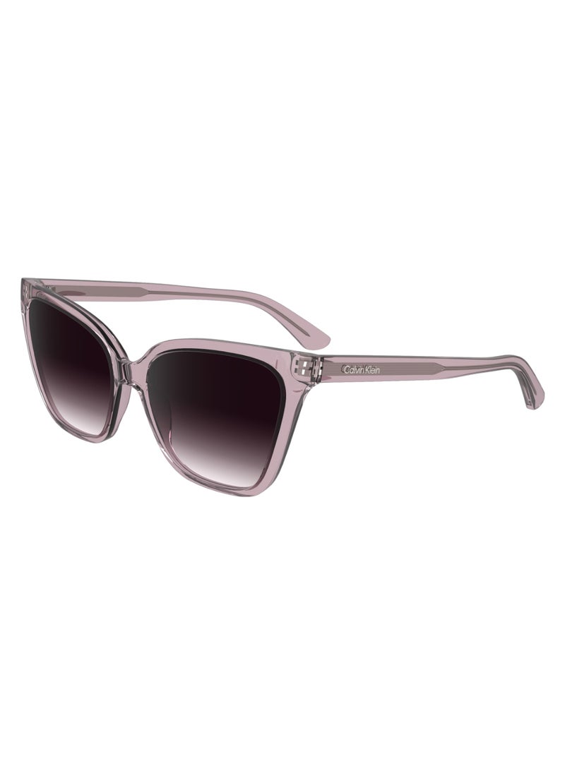 CALVIN KLEIN FULL RIM BIO INJ-G820 CAT EYE CALVIN KLEIN SUN CK24507S  5717 (601) ROSE  - Image 2