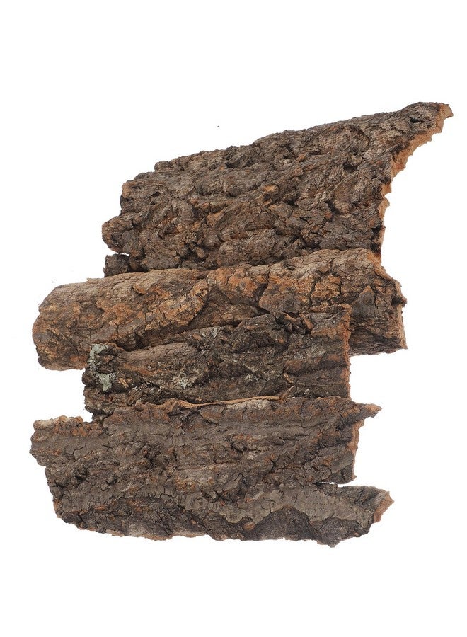 balacoo Terrarium Tree Bark: 8pcs Reptile Bark Decoration Natural Cork Bark Backdrop Reptile Tank Background Leopard Cork Bark - Tarantula Enclosure Accessories - Image 2