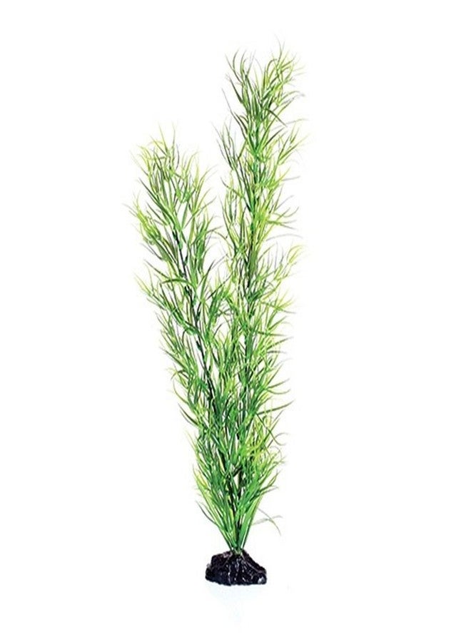 Underwater Treasures Green Diandra - 20"