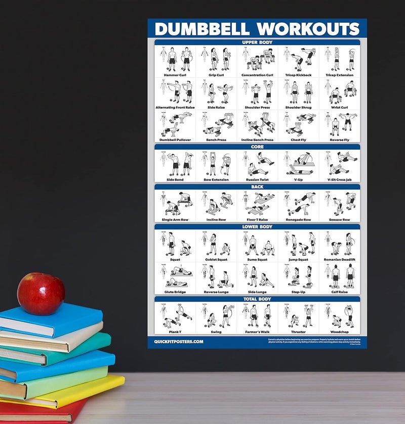 Palace Learning Dumbbell Workouts and Bodyweight Exercise Poster Set - LAMINATED 2 Chart Set - Dumbbell Exercise Routine & Body Weight Workouts (18" x 24") - Image 4