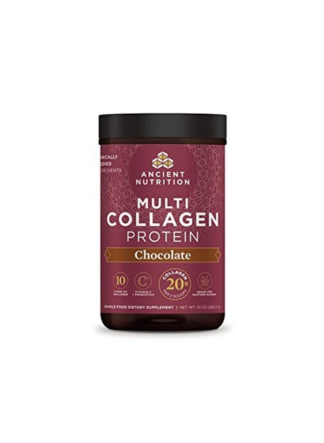 Ancient Nutrition مسحوق بروتين الكولاجين متعدد الكولاجين مسحوق بروتين الشوكولاتة 24 حصة مع فيتامين C ببتيدات الكولاجين المهدرجة تدعم صحة البشرة والأظافر وصحة الأمعاء 10 أونصات - Image 1