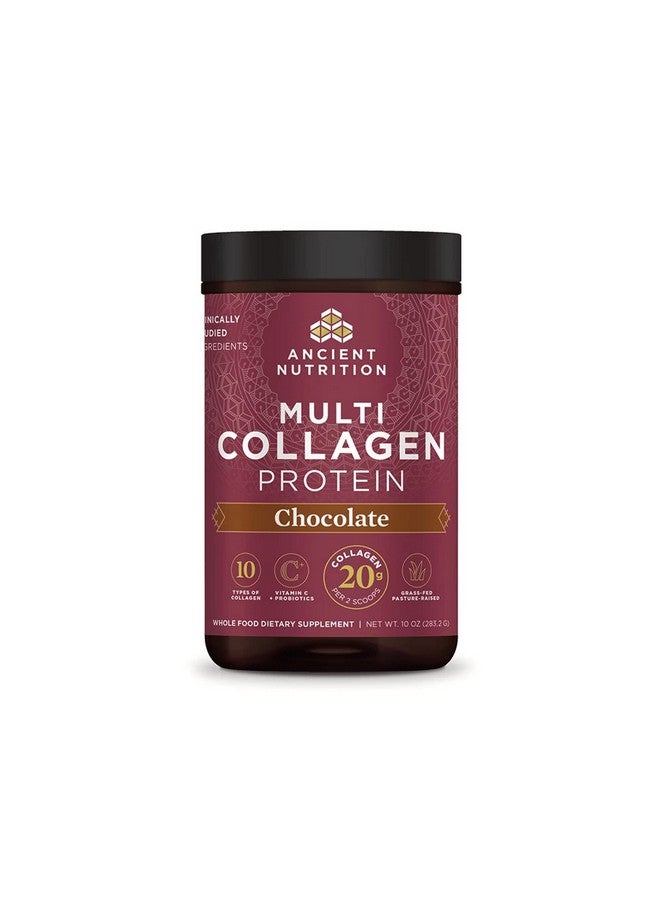 Ancient Nutrition مسحوق بروتين الكولاجين متعدد الكولاجين مسحوق بروتين الشوكولاتة 24 حصة مع فيتامين C ببتيدات الكولاجين المهدرجة تدعم صحة البشرة والأظافر وصحة الأمعاء 10 أونصات - Image 2