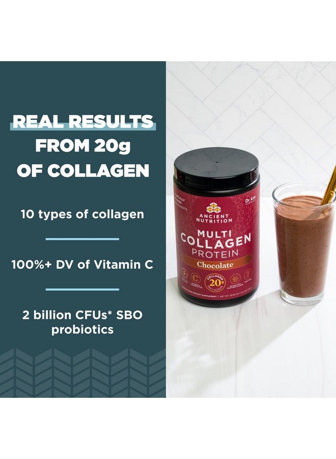 Ancient Nutrition مسحوق بروتين الكولاجين متعدد الكولاجين مسحوق بروتين الشوكولاتة 24 حصة مع فيتامين C ببتيدات الكولاجين المهدرجة تدعم صحة البشرة والأظافر وصحة الأمعاء 10 أونصات - Image 4