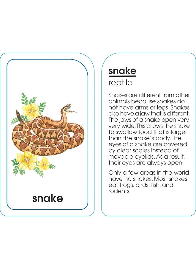 null - School Zone - Animals of All Kinds Flash Cards - Ages 4 and Up, Preschool, Kindergarten, Animal Names & Classes, Animal Facts and Information, Word-Picture Recognition, and More - Image 1