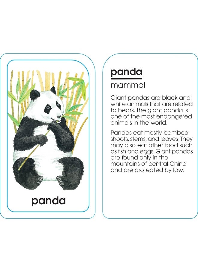 null - School Zone - Animals of All Kinds Flash Cards - Ages 4 and Up, Preschool, Kindergarten, Animal Names & Classes, Animal Facts and Information, Word-Picture Recognition, and More - Image 1